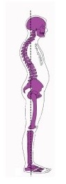 spine-alignments (2)